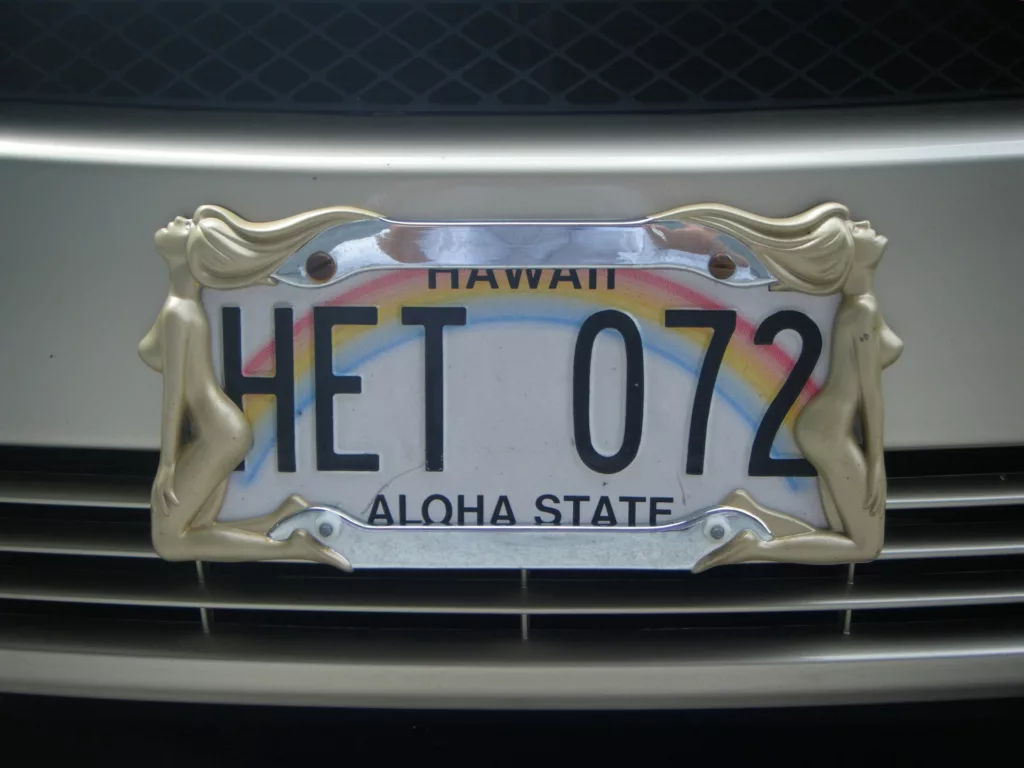 Aloha State Nummernschild