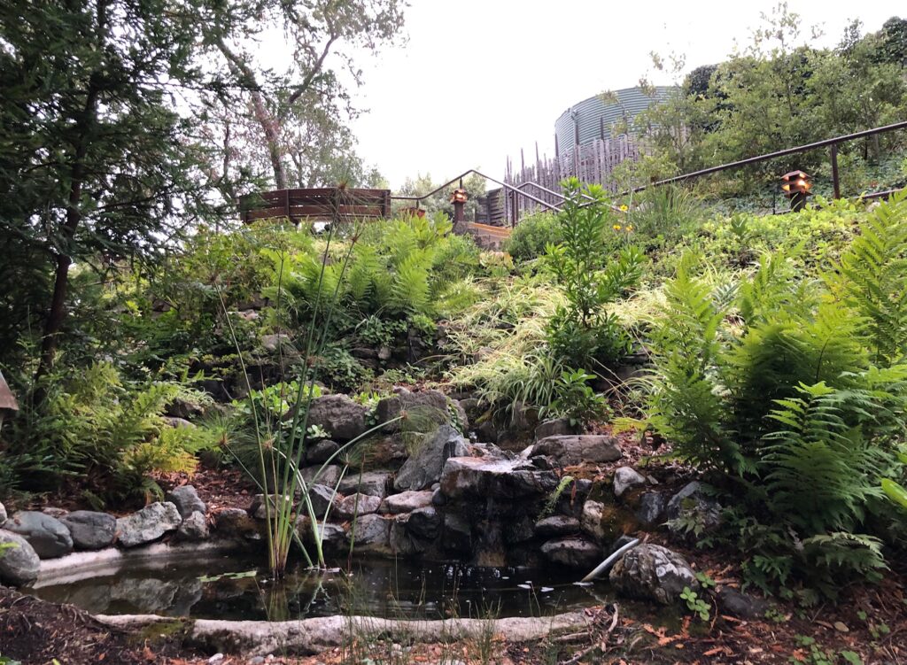 Garten beim Nepenthe Restaurant