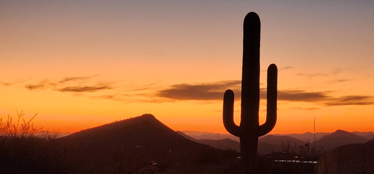 Arizona Wein Wüste mit Kaktus Sonnenuntergang